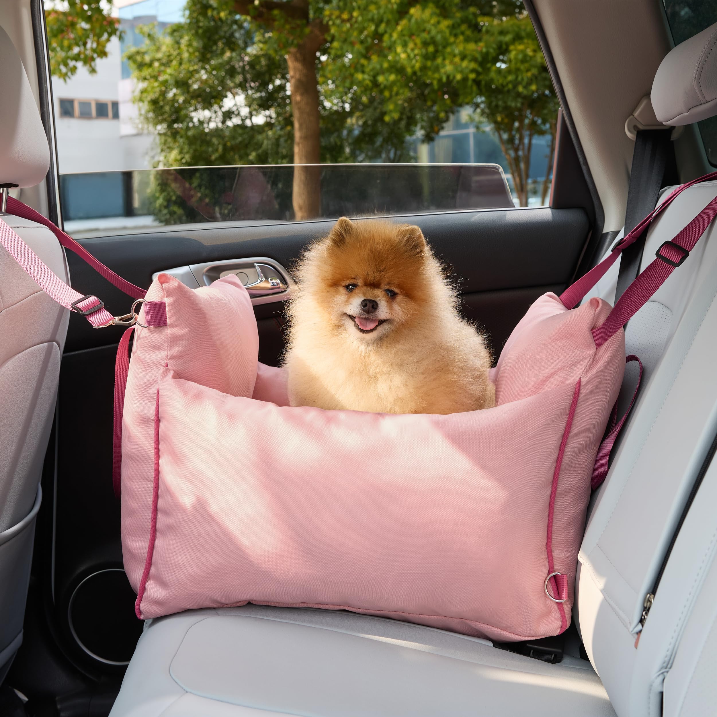 Durable fabric and metal buckles ensure long-lasting use.