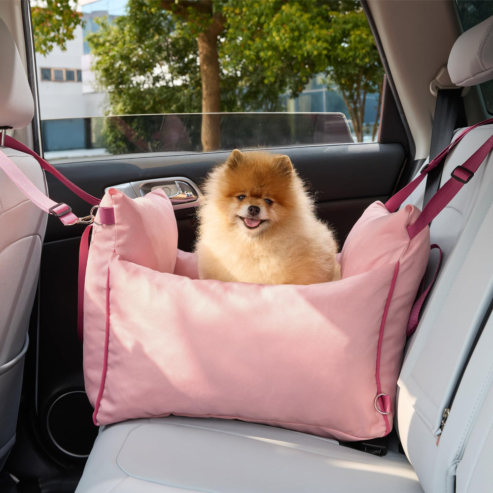 Durable fabric and metal buckles ensure long-lasting use.