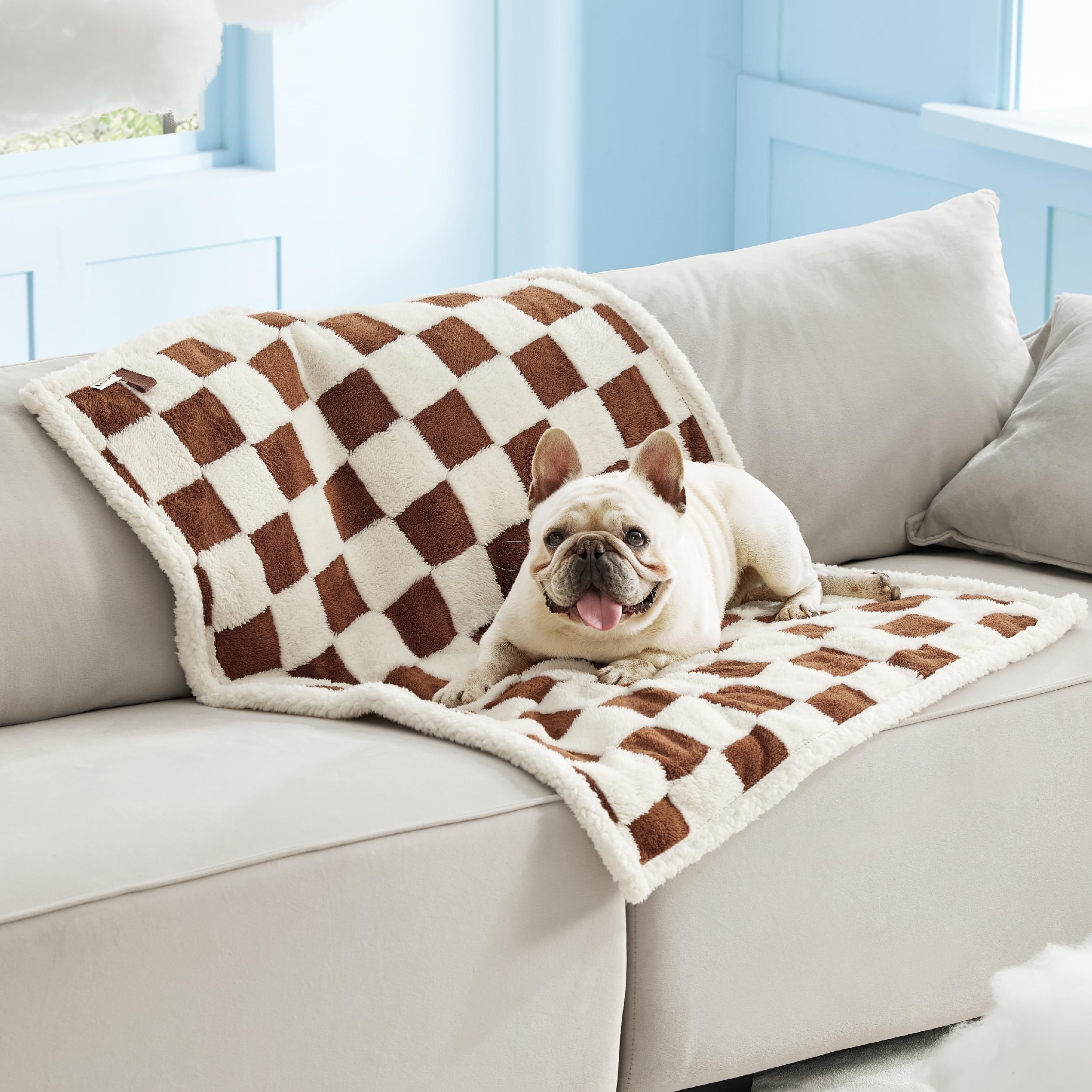 LE SURE edge-stitching enhances durability for daily pet use