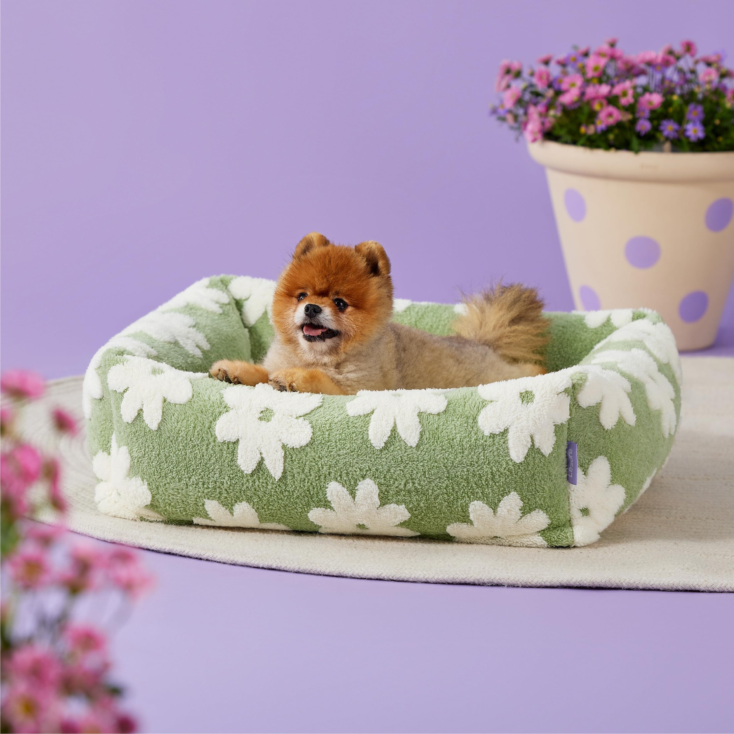 LE SURE compact 25x21x7 inch bed fits small spaces neatly.