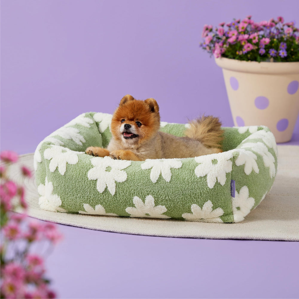LE SURE compact 25x21x7 inch bed fits small spaces neatly.