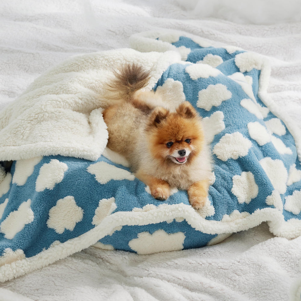 LE SURE portable, travel-friendly blanket for pets on the go