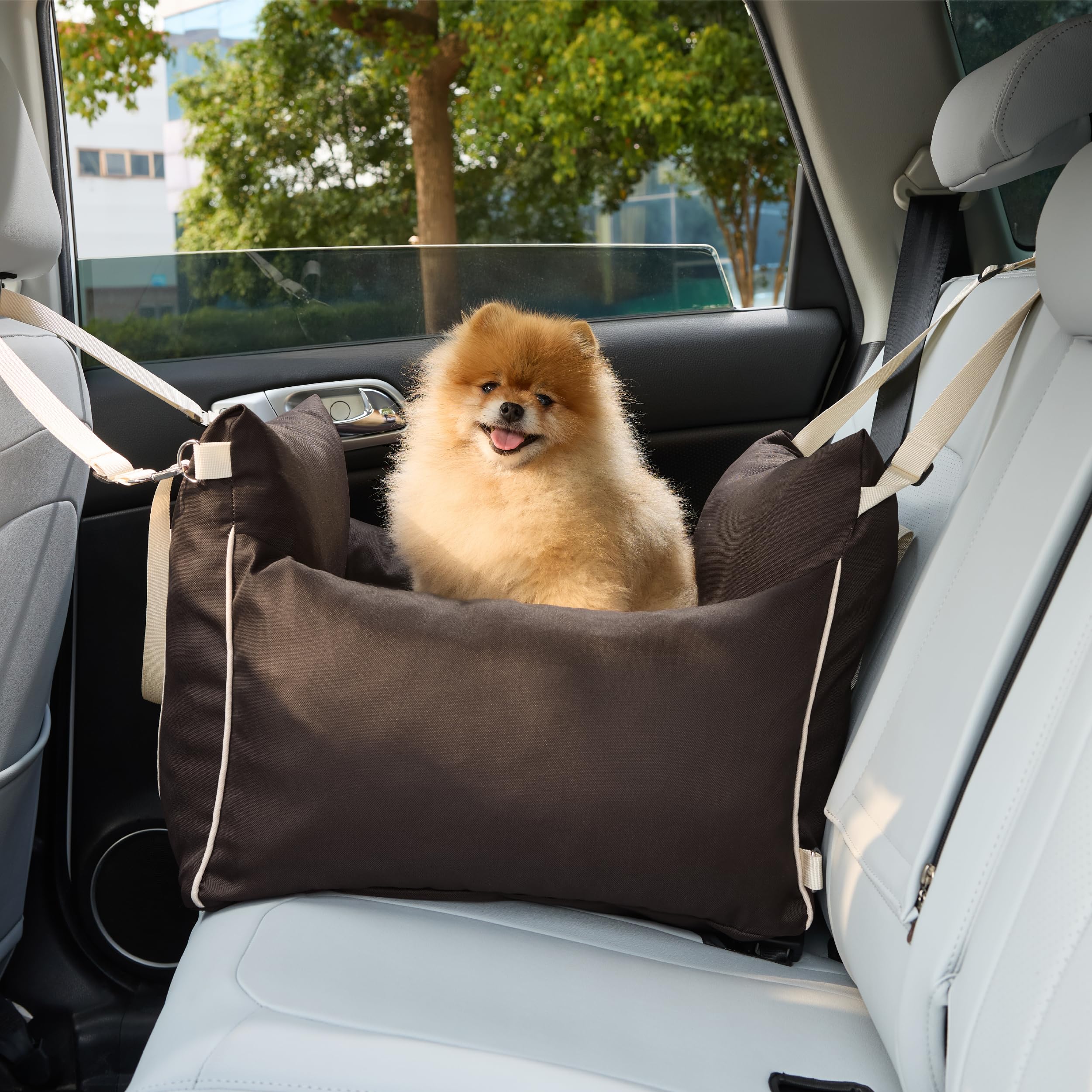 LE SURE Lesure fits front or back seats in cars, trucks, and SUVs.