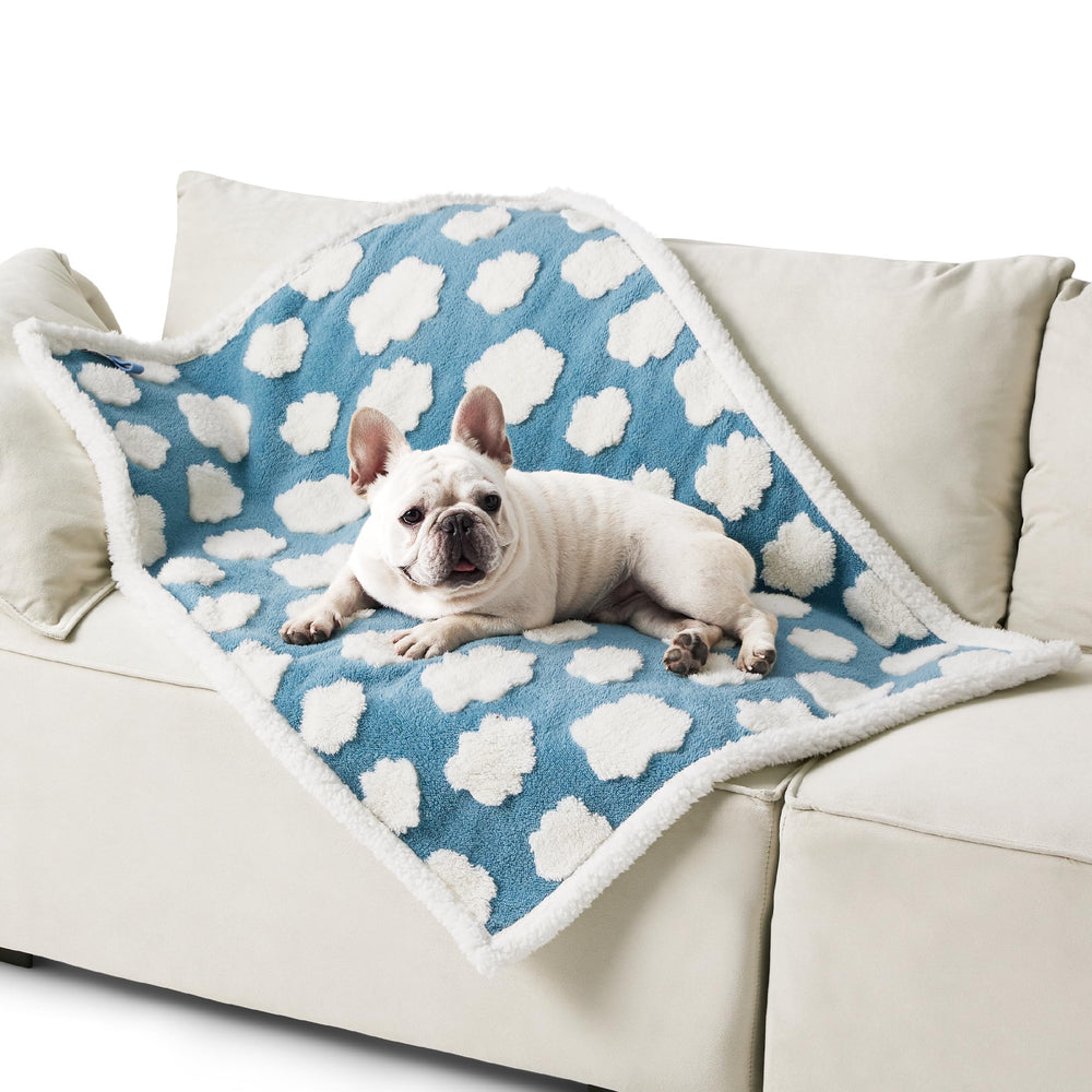 LE SURE waterproof dog blanket in blue on a couch, protecting furniture.