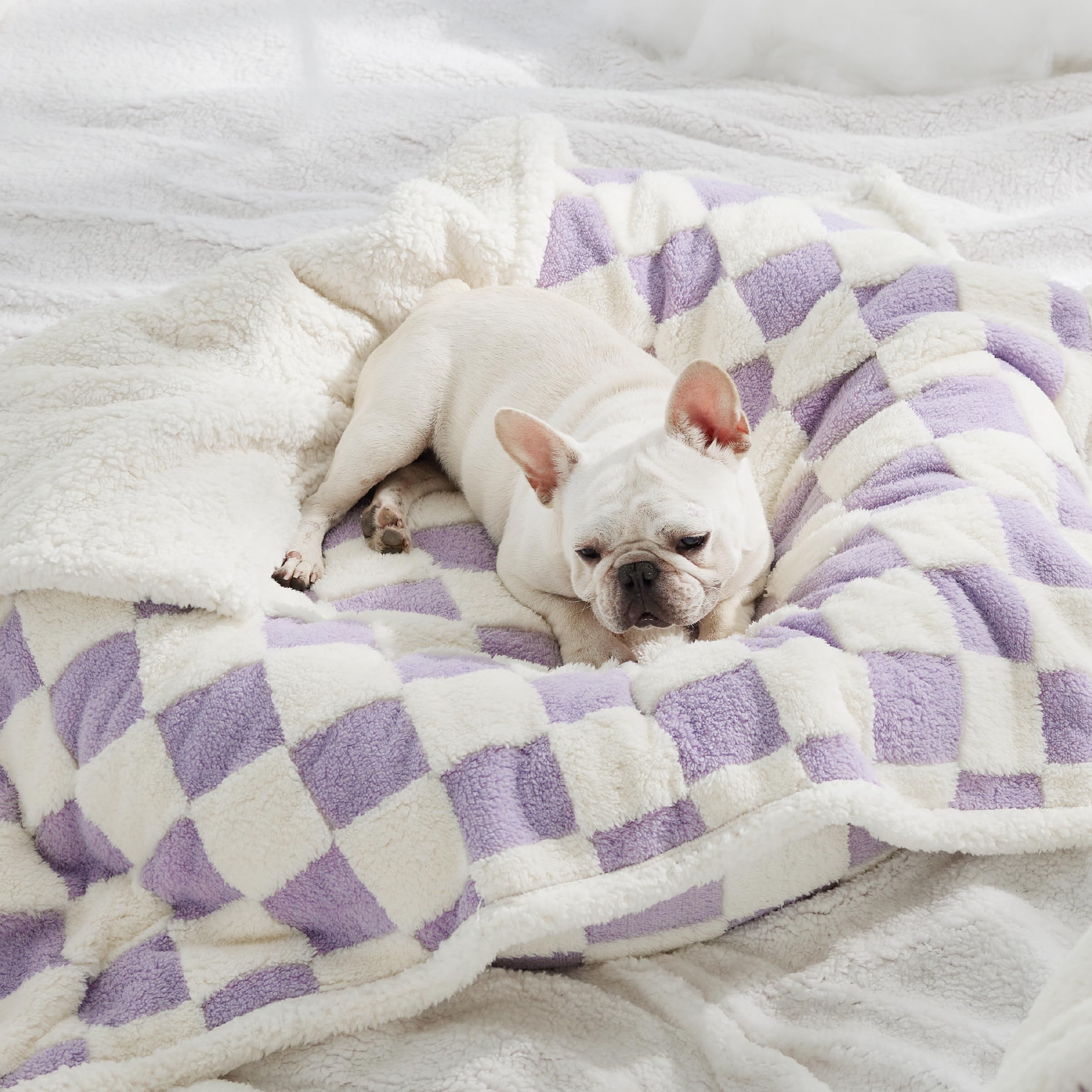 LE SURE lightweight blanket ready for travel and on-the-go use