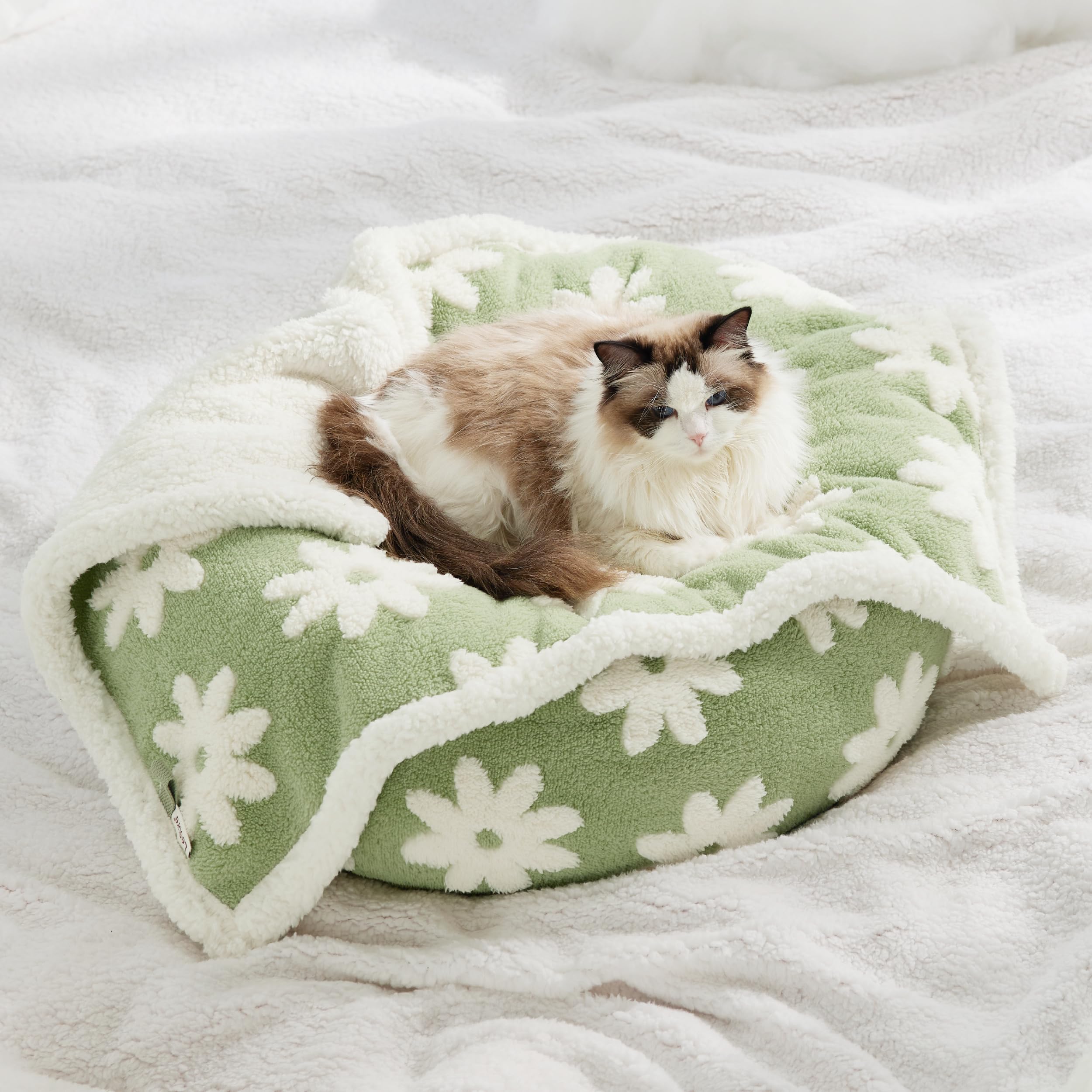 LE SURE easy-care blanket is machine washable for busy homes
