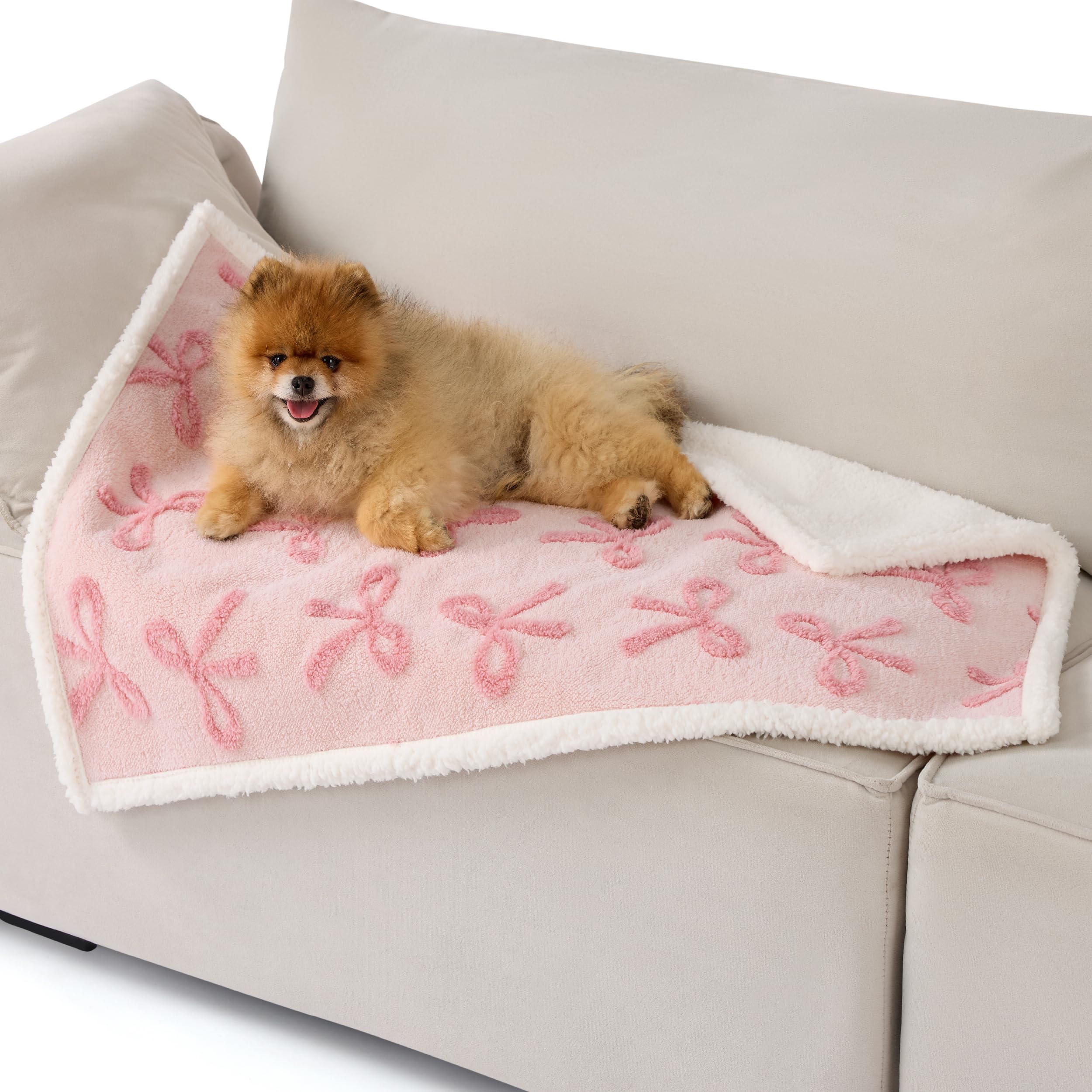 LE SURE all-purpose pet blanket suitable for indoor and outdoor adventures.