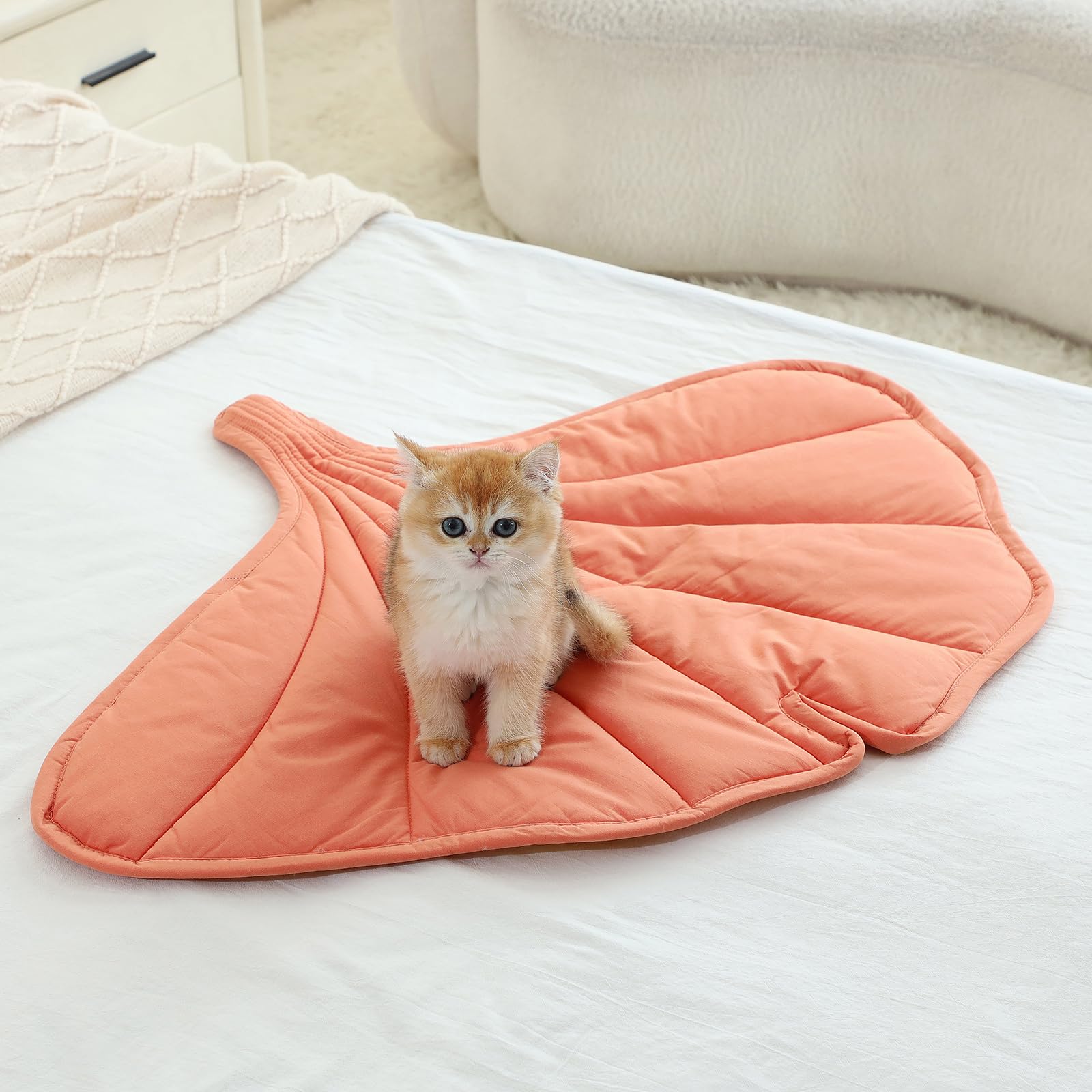 Letalong cat bed multi-use pad doubles as a warm resting mat.