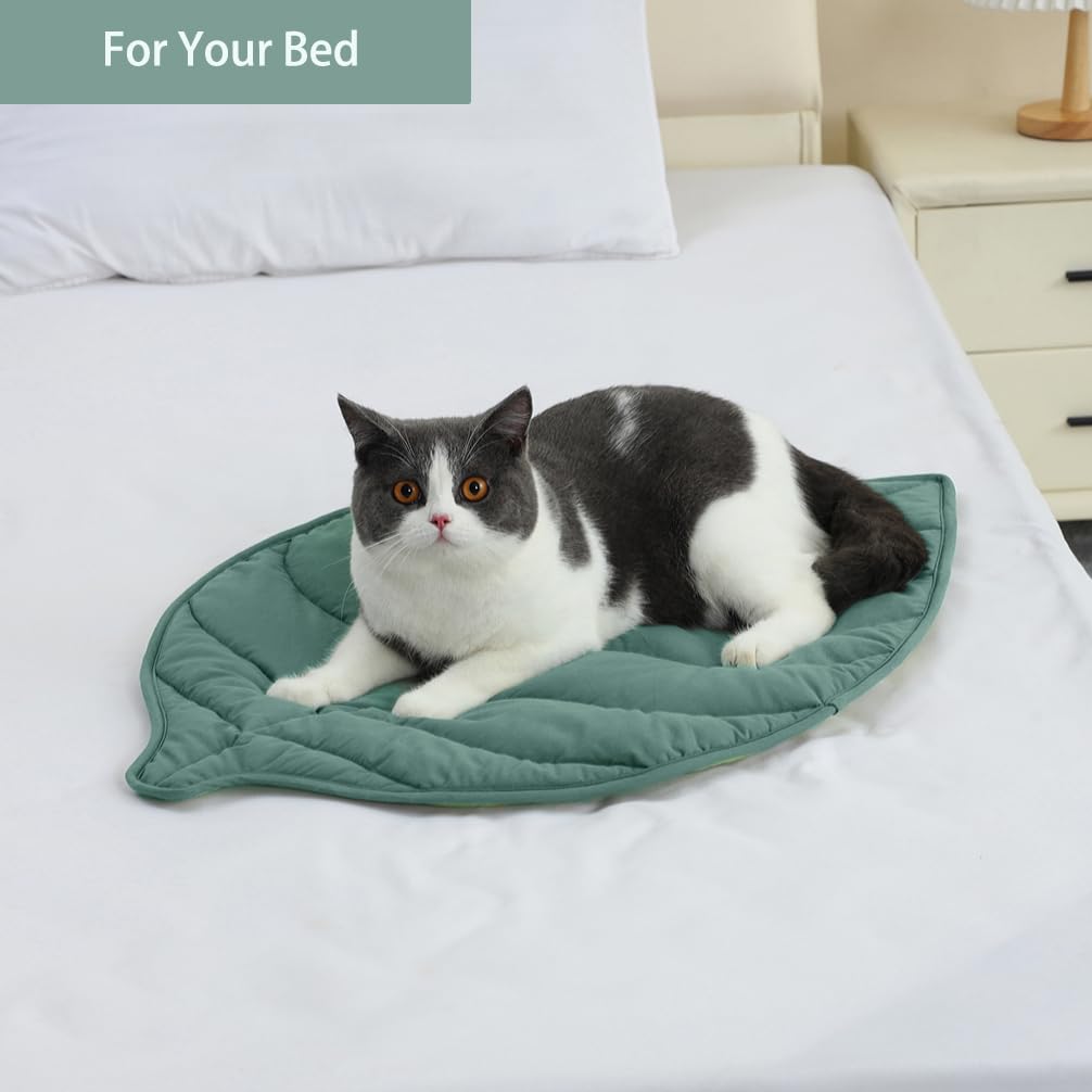 Letalong cat resting comfortably on leaf bed.