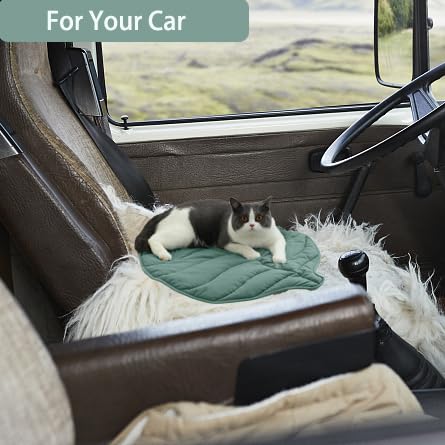 Letalong compact folded mat fits travel and storage.