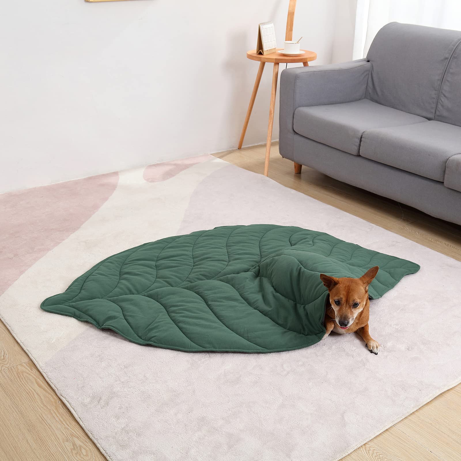 Letalong leaf blanket covers large dogs comfortably on floors.