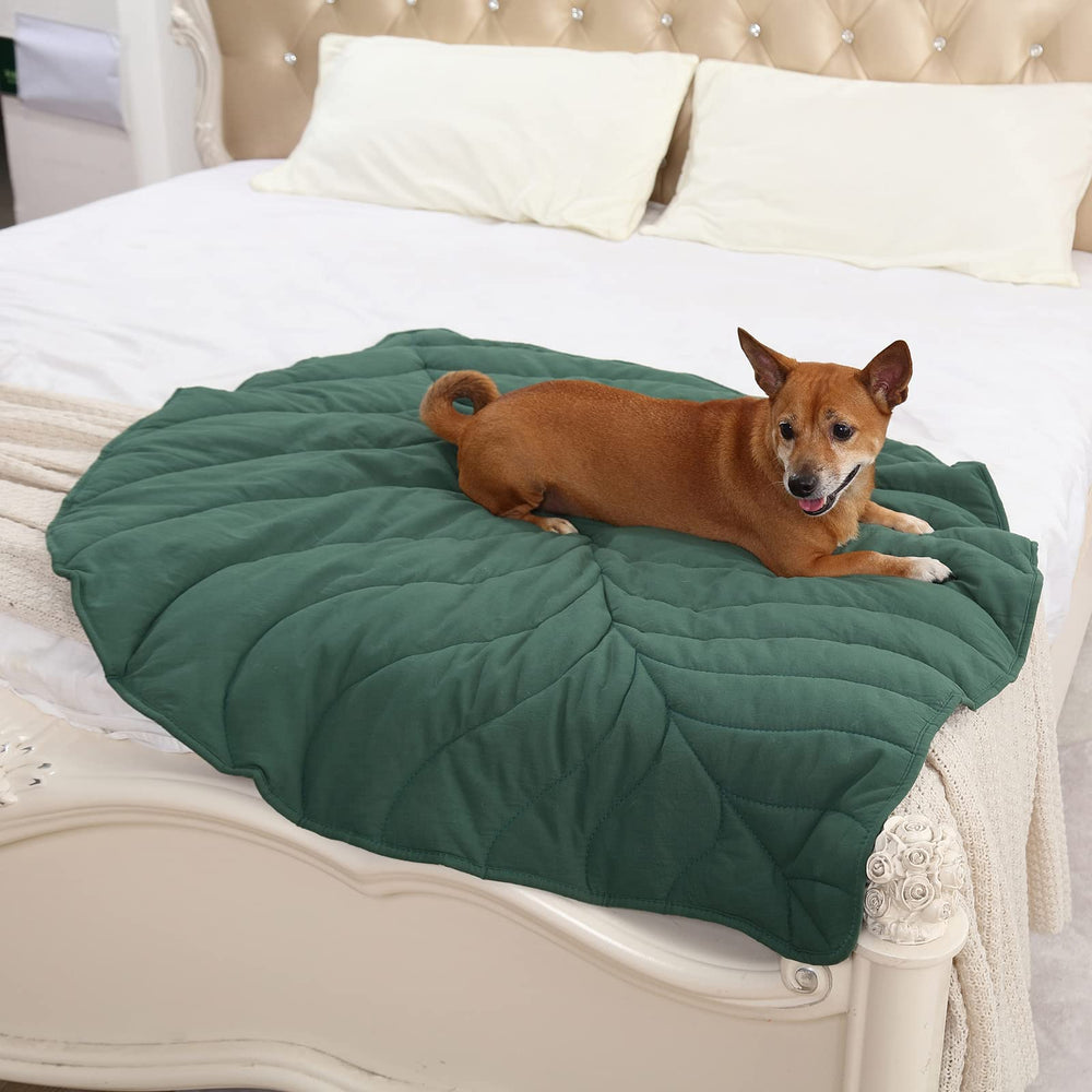 Letalong leaf blanket showcases a unique leaf design for style.