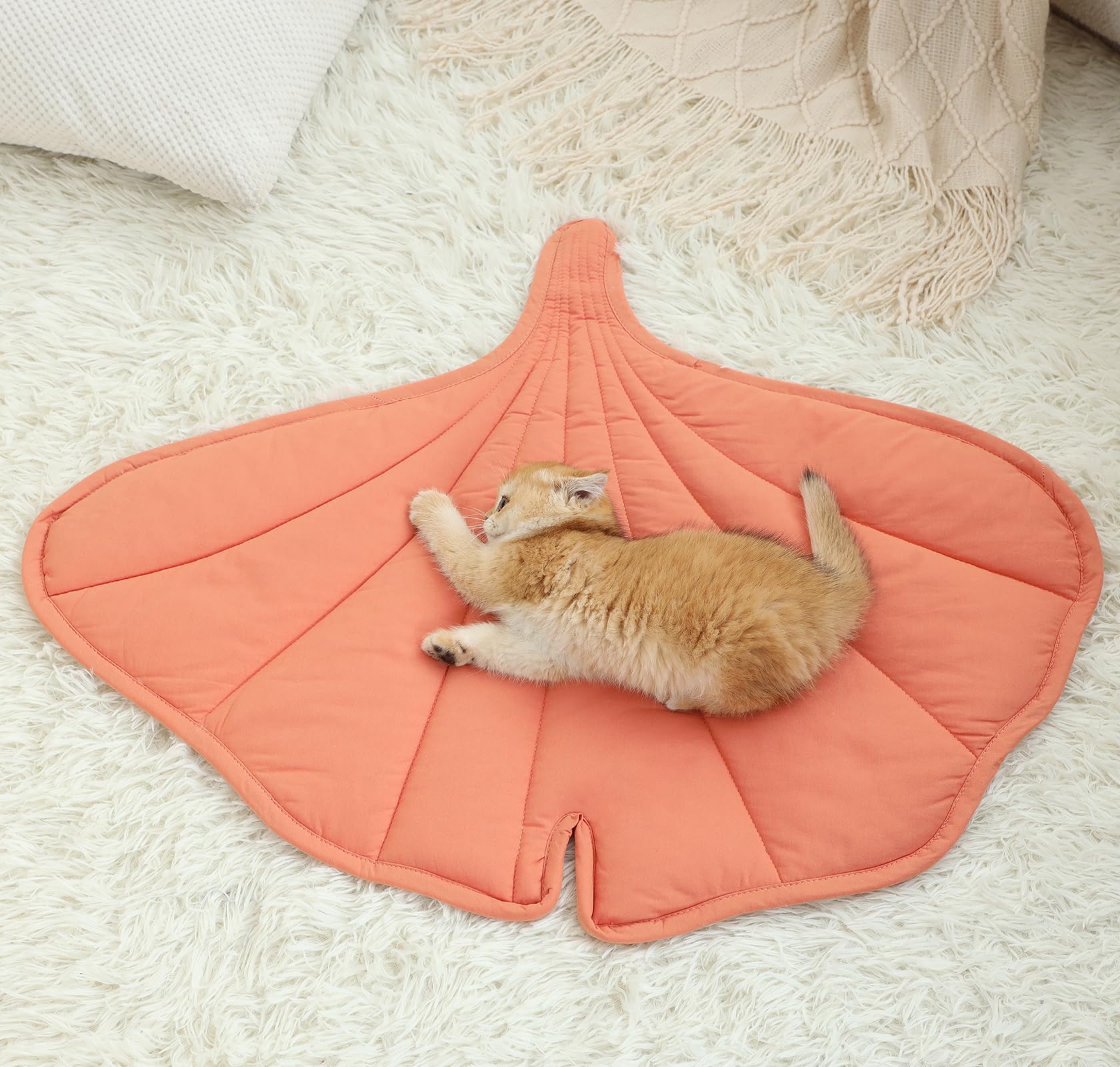 Letalong machine-washable cat pad stays clean with gentle cycles.