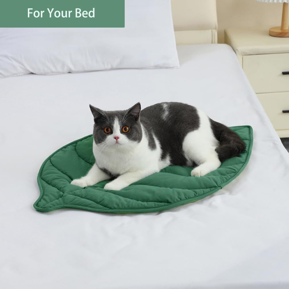 Letalong portable pet mat folds flat for storage and trips.