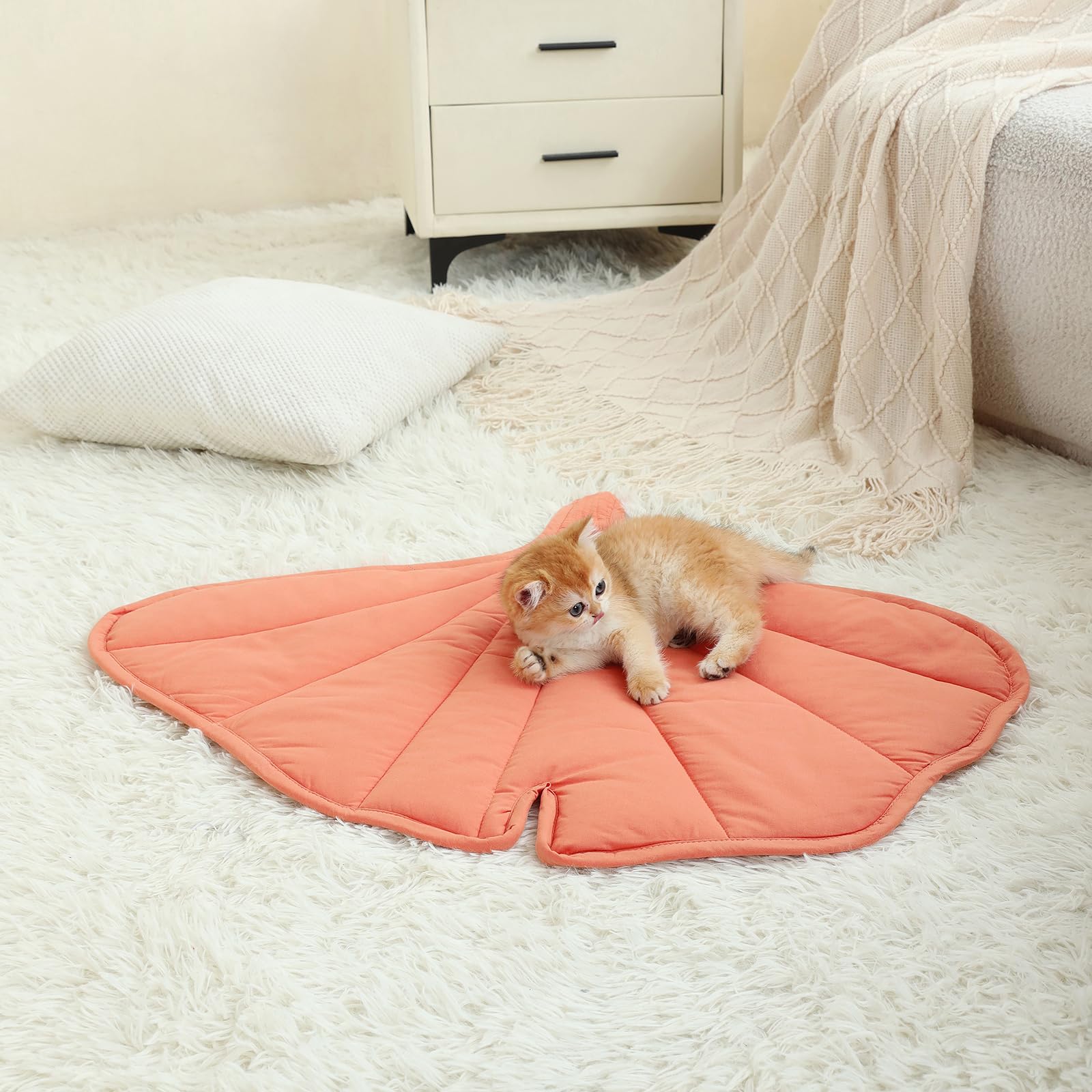 Letalong travel-friendly cat bed folds for storage or trips.