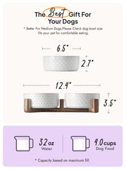LE TAUCI elevated feeding design reduces neck strain during meals.