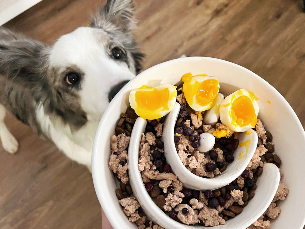 LE TAUCI PET ceramic puzzle bowl highlighting the maze design for mindful eating