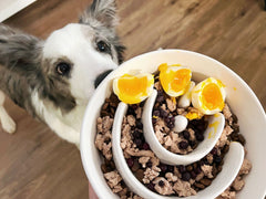 LE TAUCI PET ceramic puzzle bowl highlighting the maze design for mindful eating