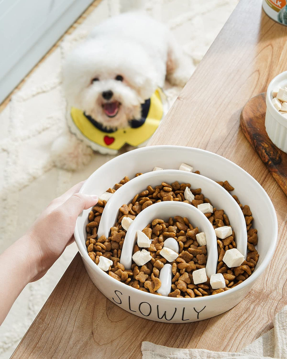 LE TAUCI PET maze pattern bowl slowing fast eaters during feeding