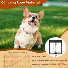 Leterno Long Dog Leash with reflective stitching for safer night walks