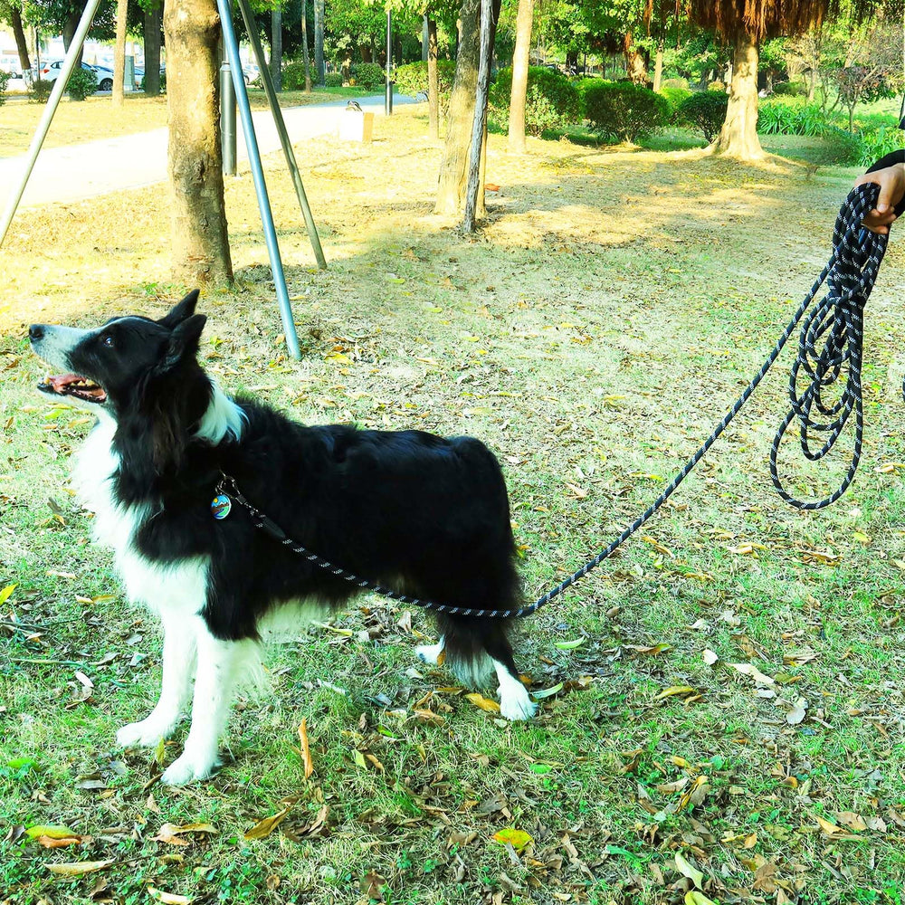 Leterno Long Dog Leash supports versatile outdoor use for hiking and camping