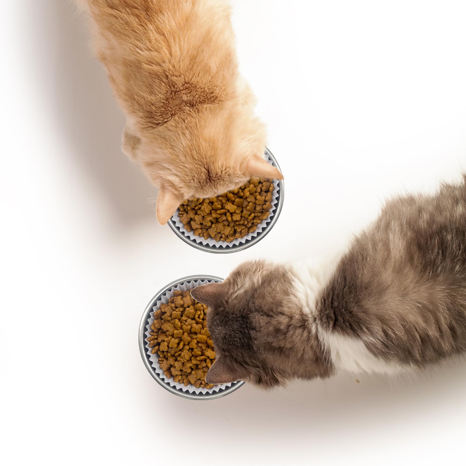 Letesult 30-day guarantee provides shopping confidence for pet households.
