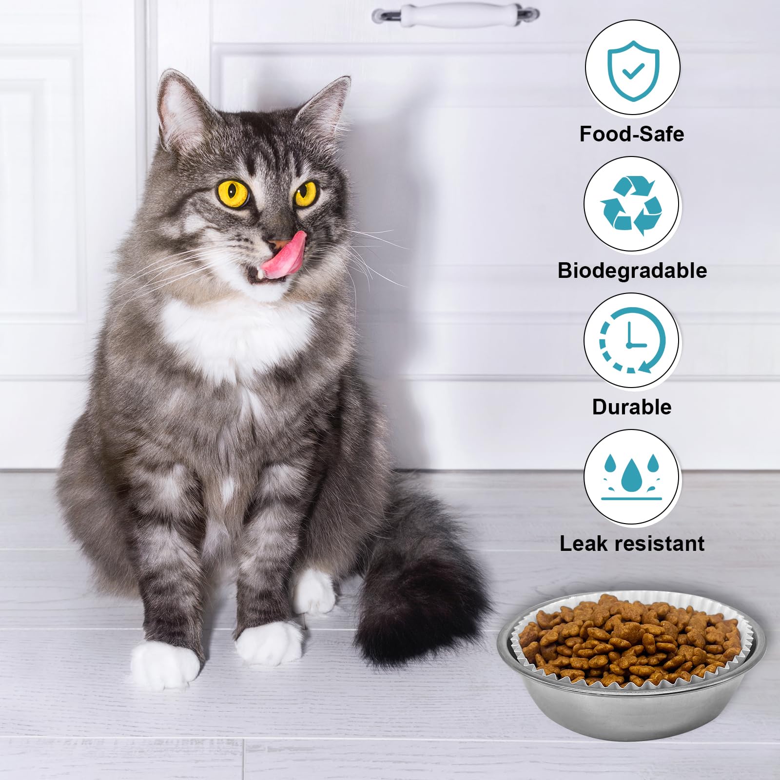 Letesult bulk feeding set supports on-the-go meals without washing.