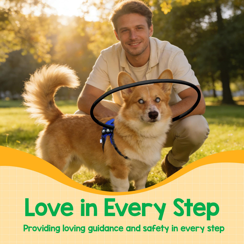 LetPetRun halo ring aids safer dog walking and obstacle awareness.