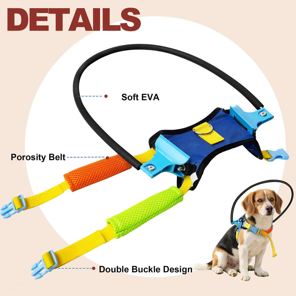 LetPetRun halo boundary in action assists dogs during outdoor walks.