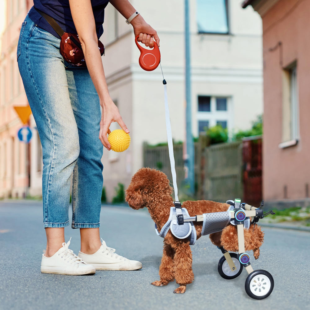 LetPetRun size-chart guided fit helps proper hind-leg support.