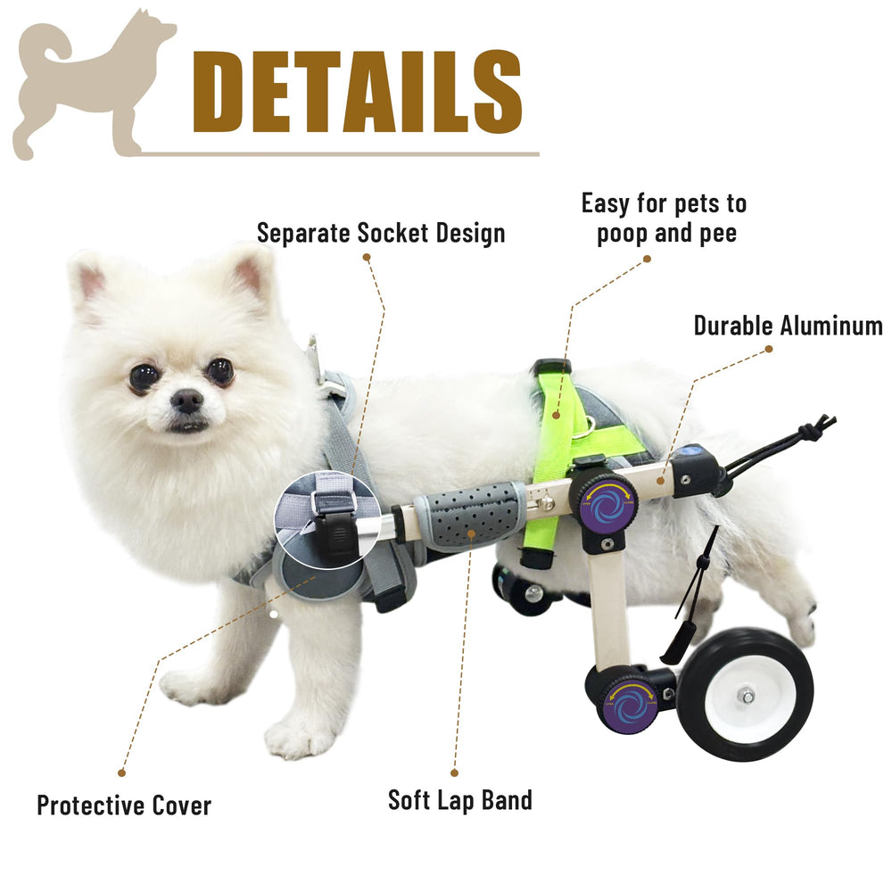 LetPetRun rear-leg support enabling daily walks.