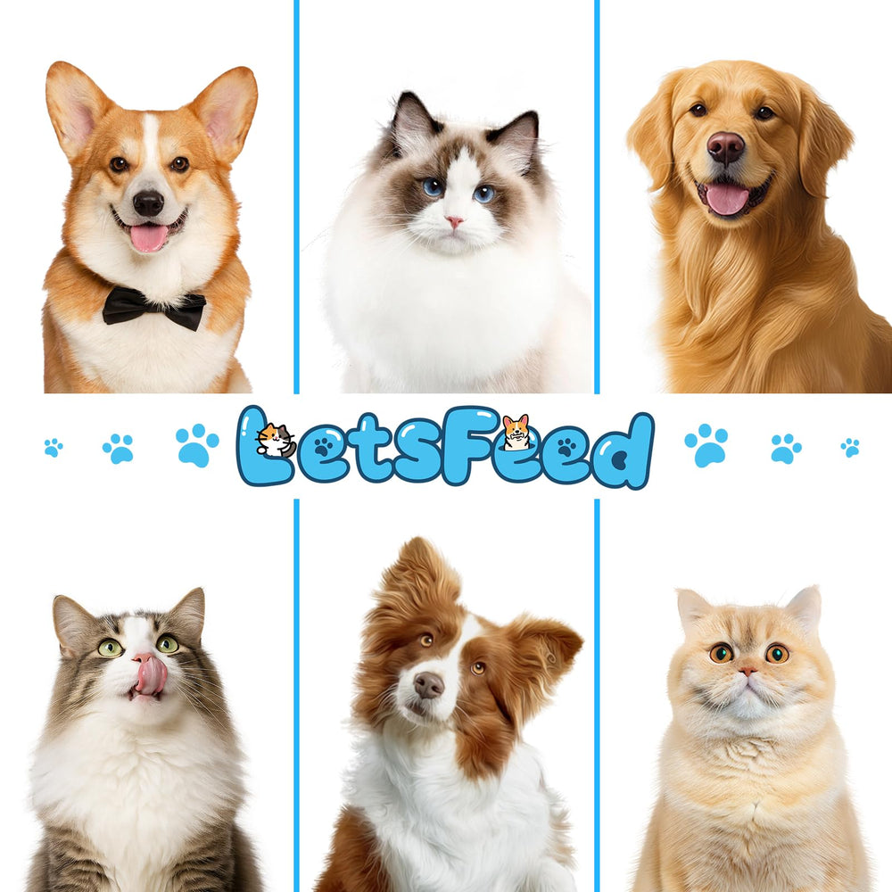 LetsFeed compact lightweight steam brush designed for gentle pet grooming anywhere.
