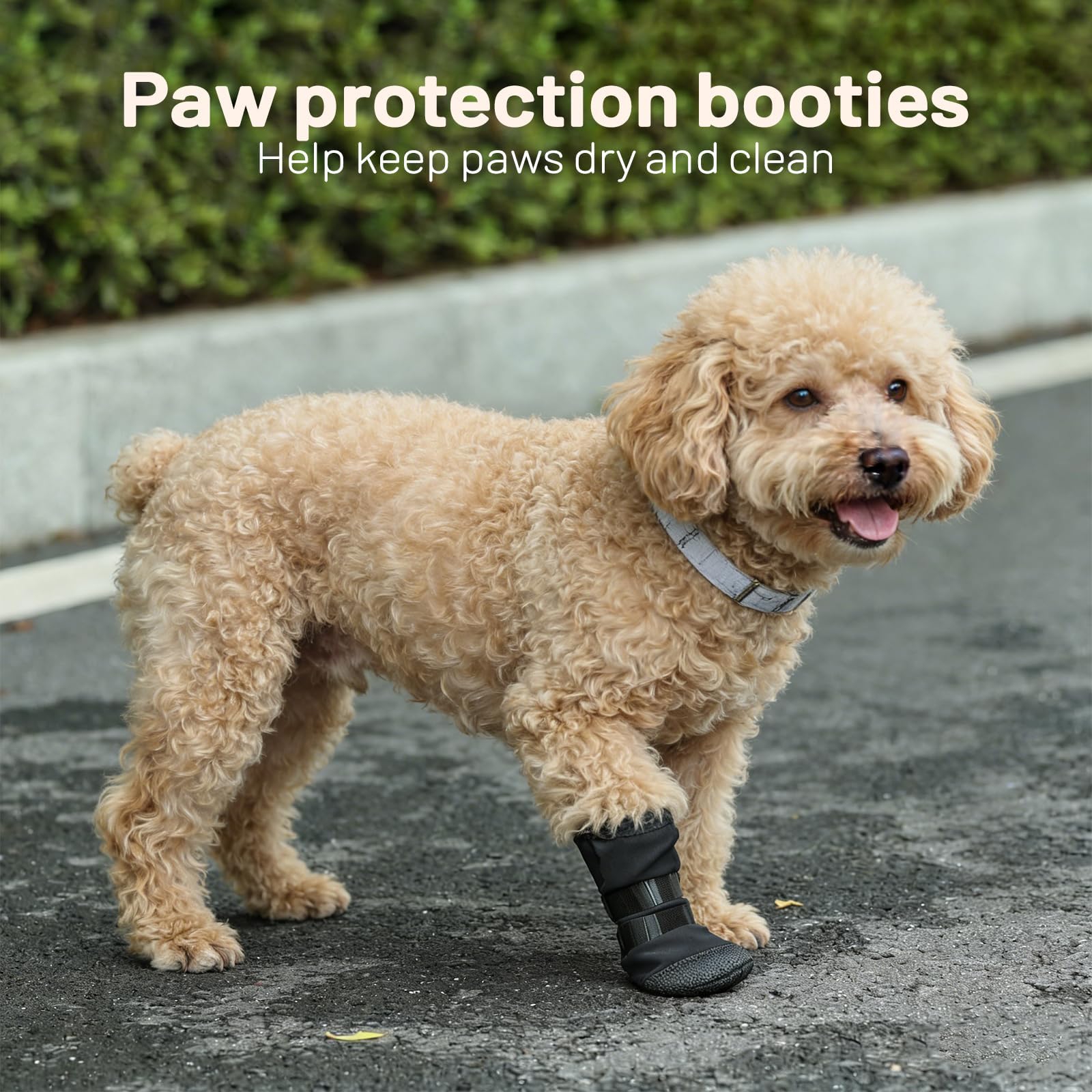 LETSQK paw boot protecting wounds from licking and dirt during recovery.