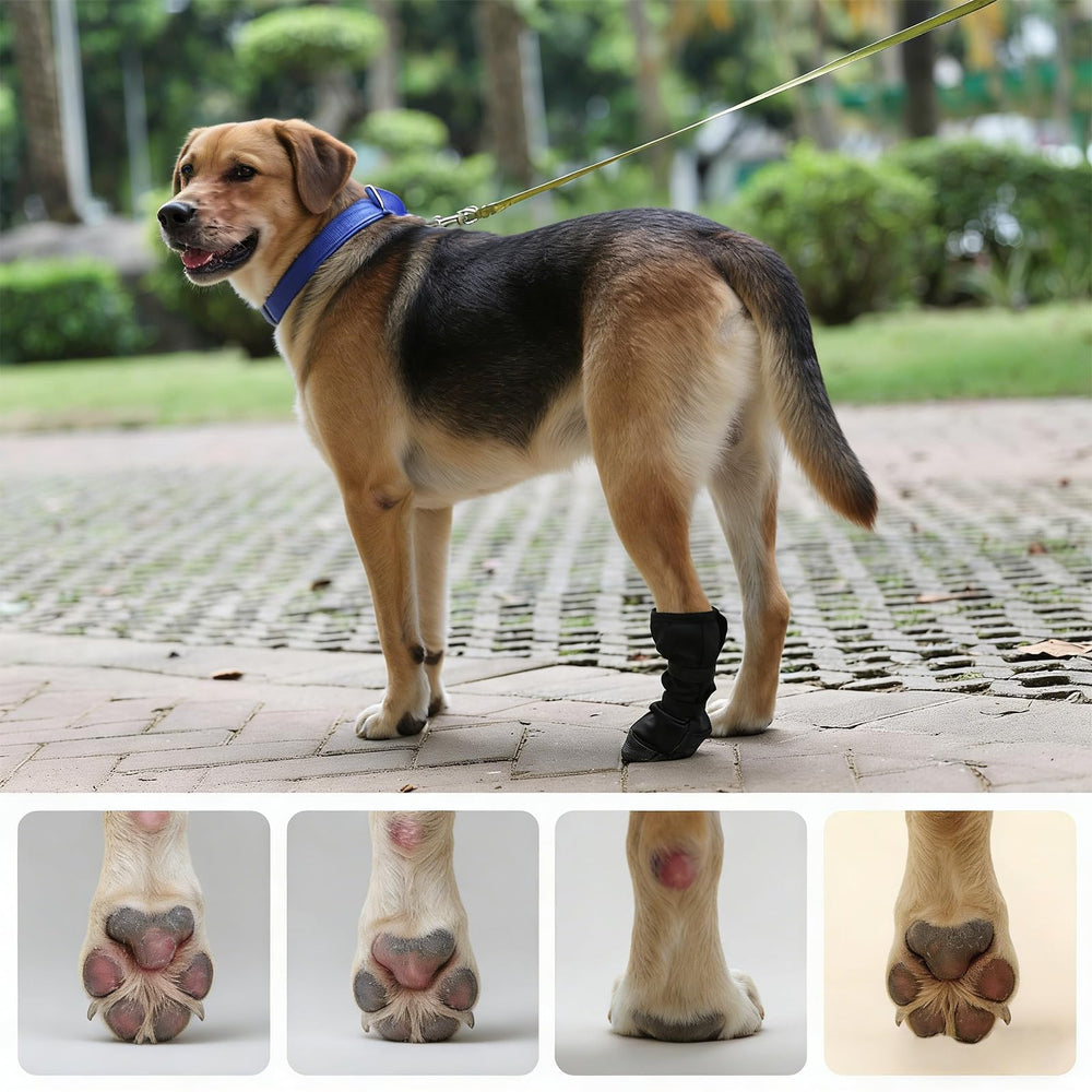 LETSQK dog recovery boot sizing guide helps accurate selection