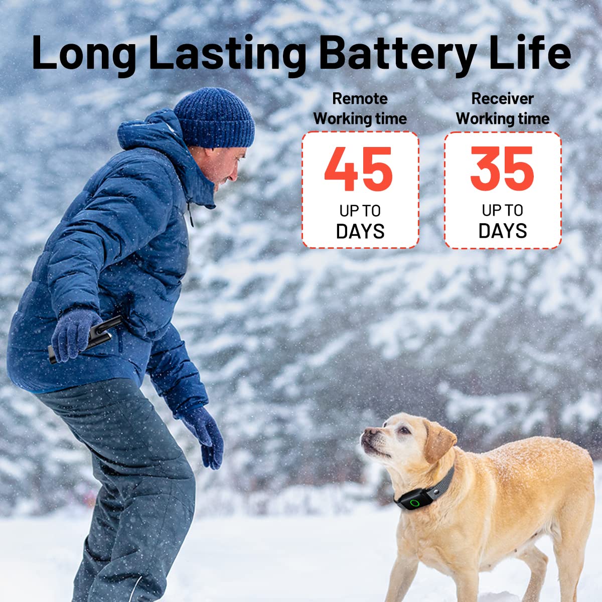 LetsWill four training modes adapt to indoor and outdoor settings.