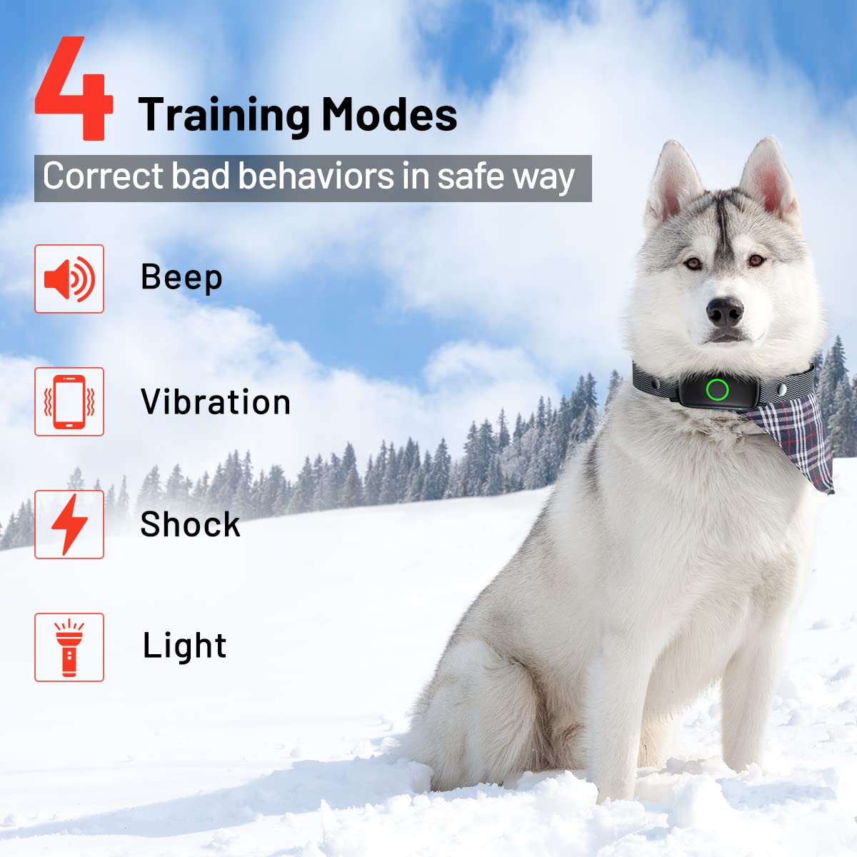 LetsWill IPX7 waterproof dog collar ideal for swimming and rainy walks.