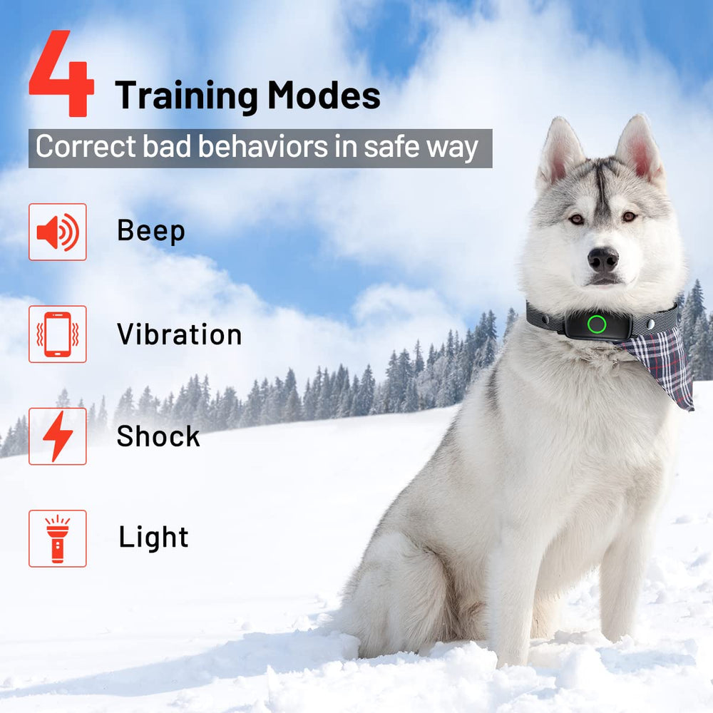 LetsWill IPX7 waterproof dog collar ideal for swimming and rainy walks.
