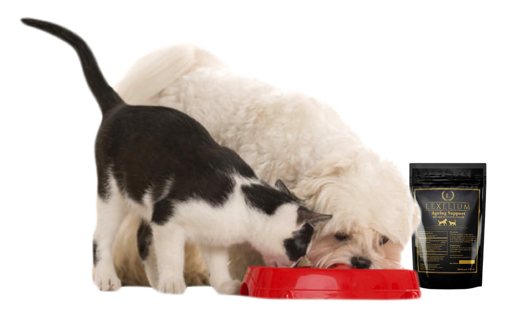 Easy powder mixing with wet or dry food for convenient dosing.