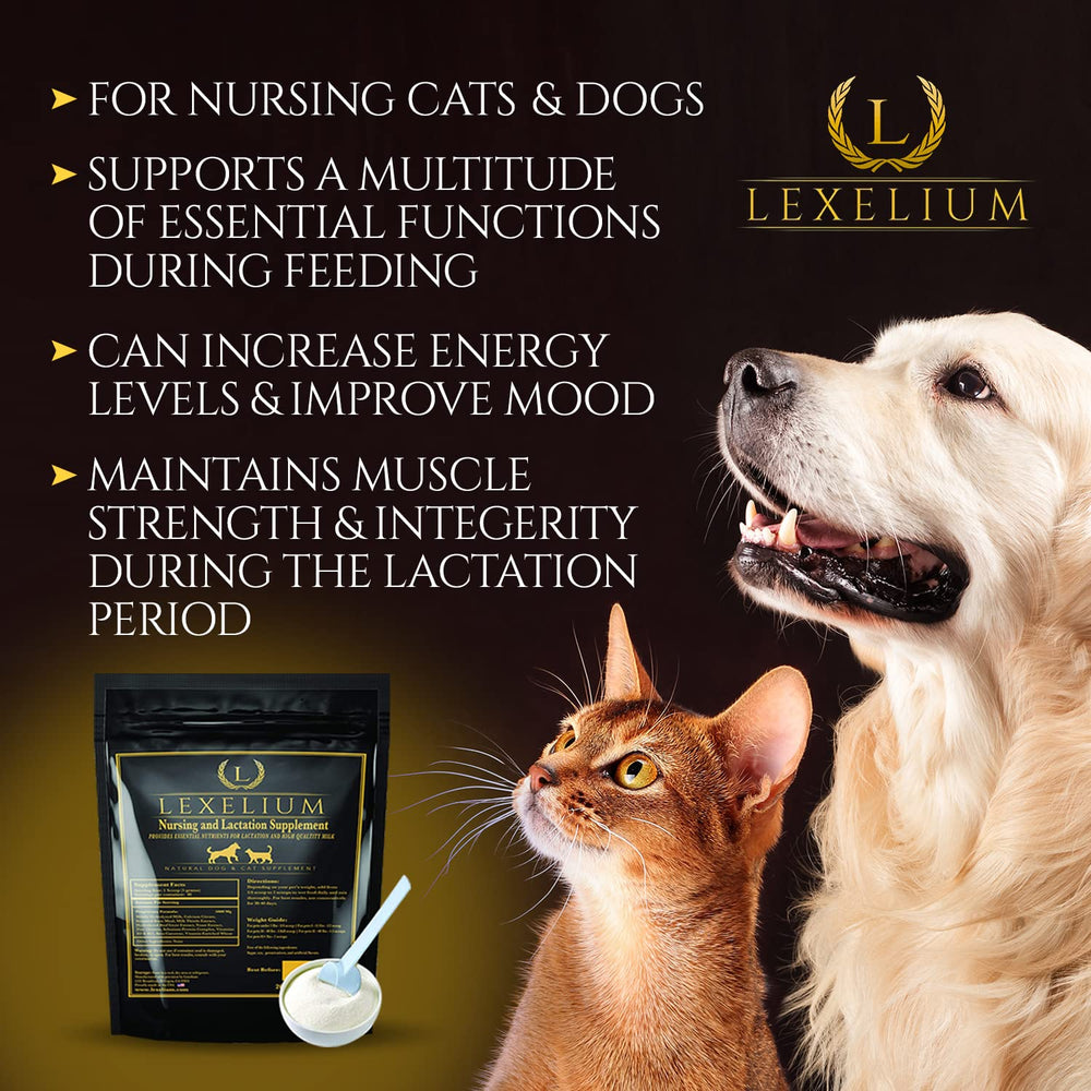 Milk production support for nursing dogs and litters.