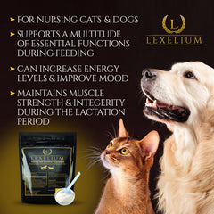 Milk production support for nursing dogs and litters.