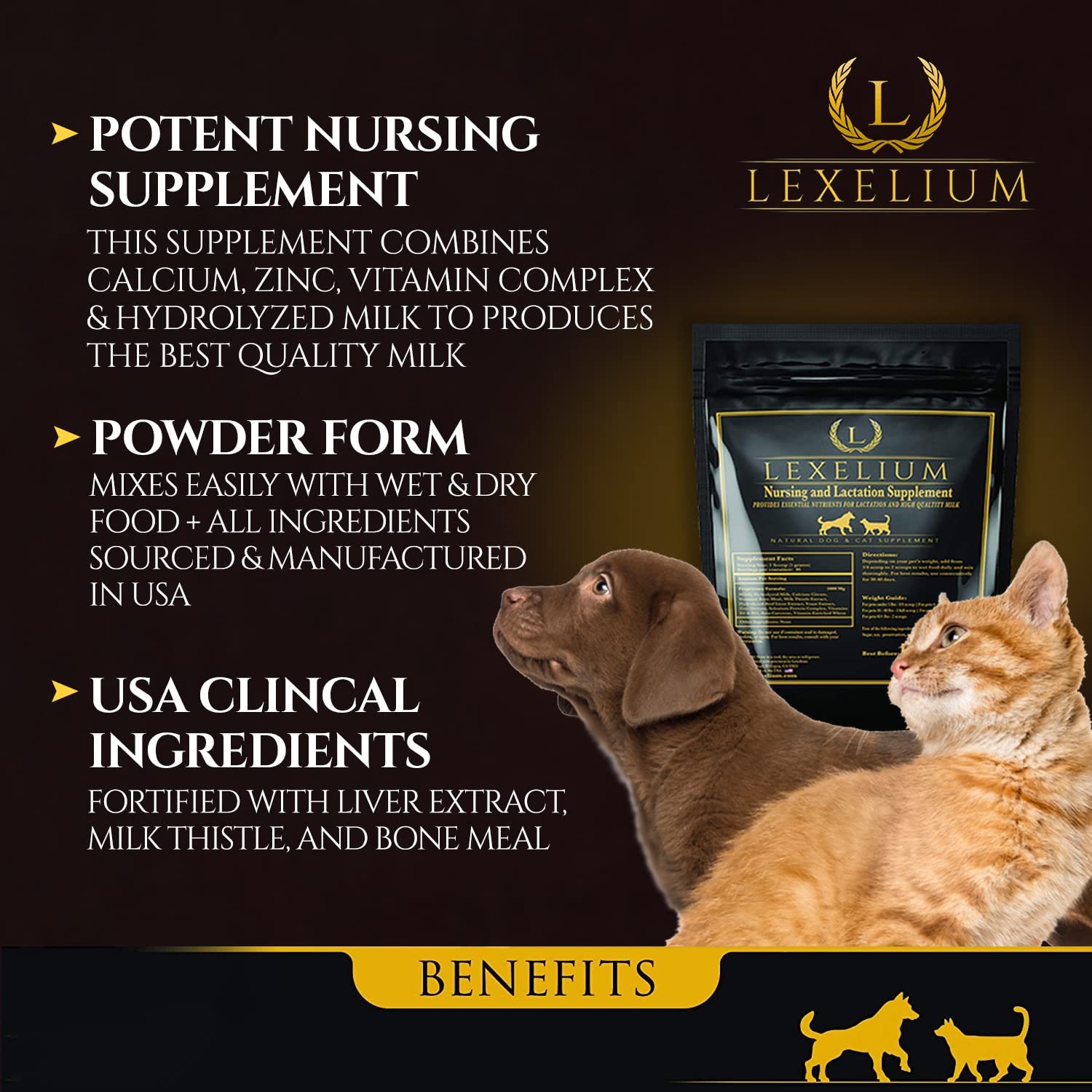 Powder dissolving into pet food to aid nourishment and easy feeding.
