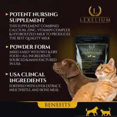 Powder dissolving into pet food to aid nourishment and easy feeding.