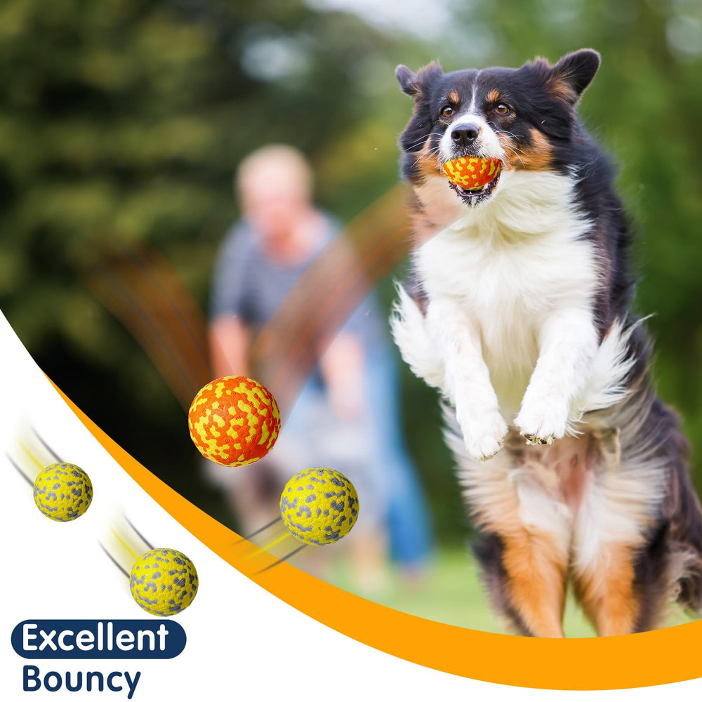 Leyndo colorful multi-pack dog balls, varied colors for daily play.