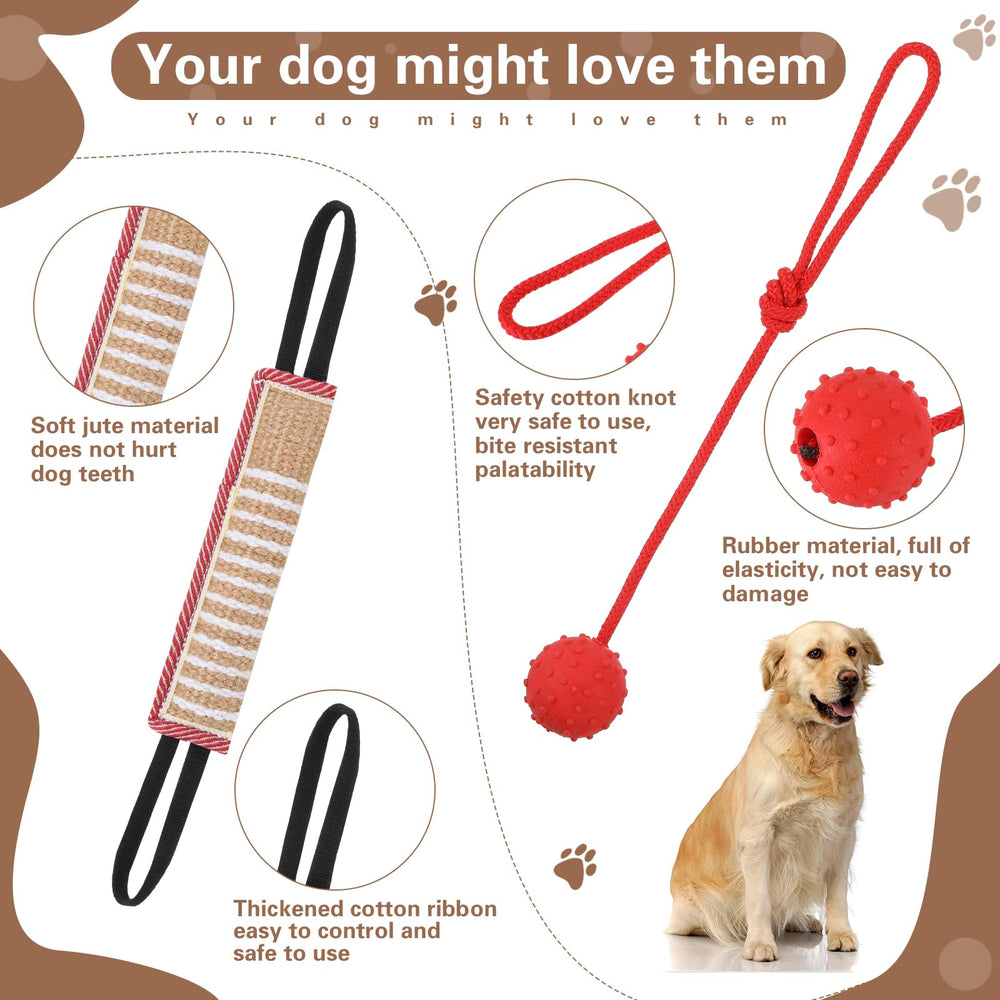 Leyndo chew tug toy for tug-of-war and retrieval