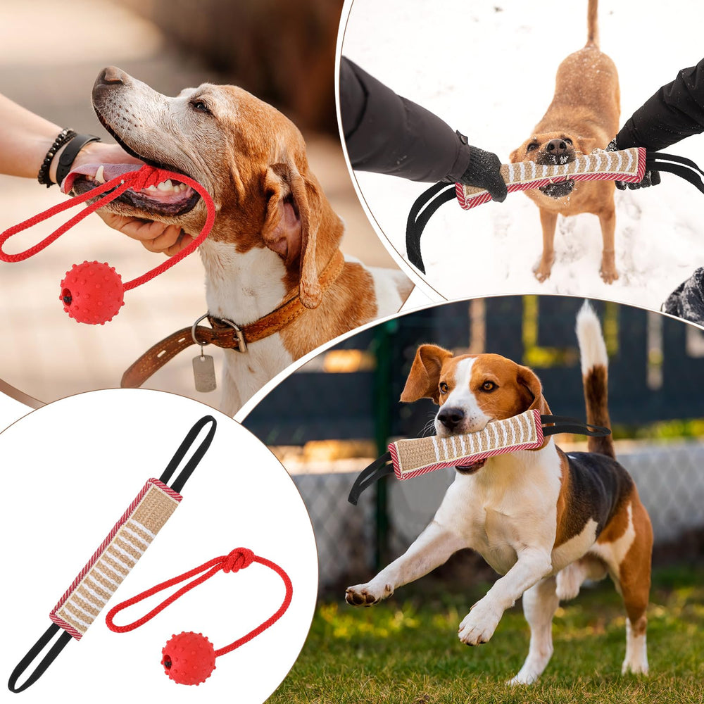 Leyndo equipment in use during a supervised dog drill