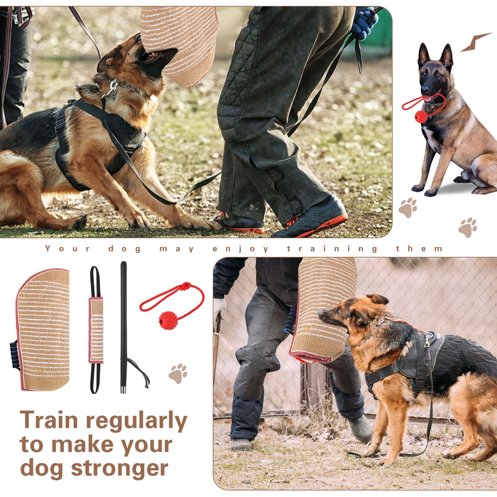 Leyndo training session showing dog focus and trainer control