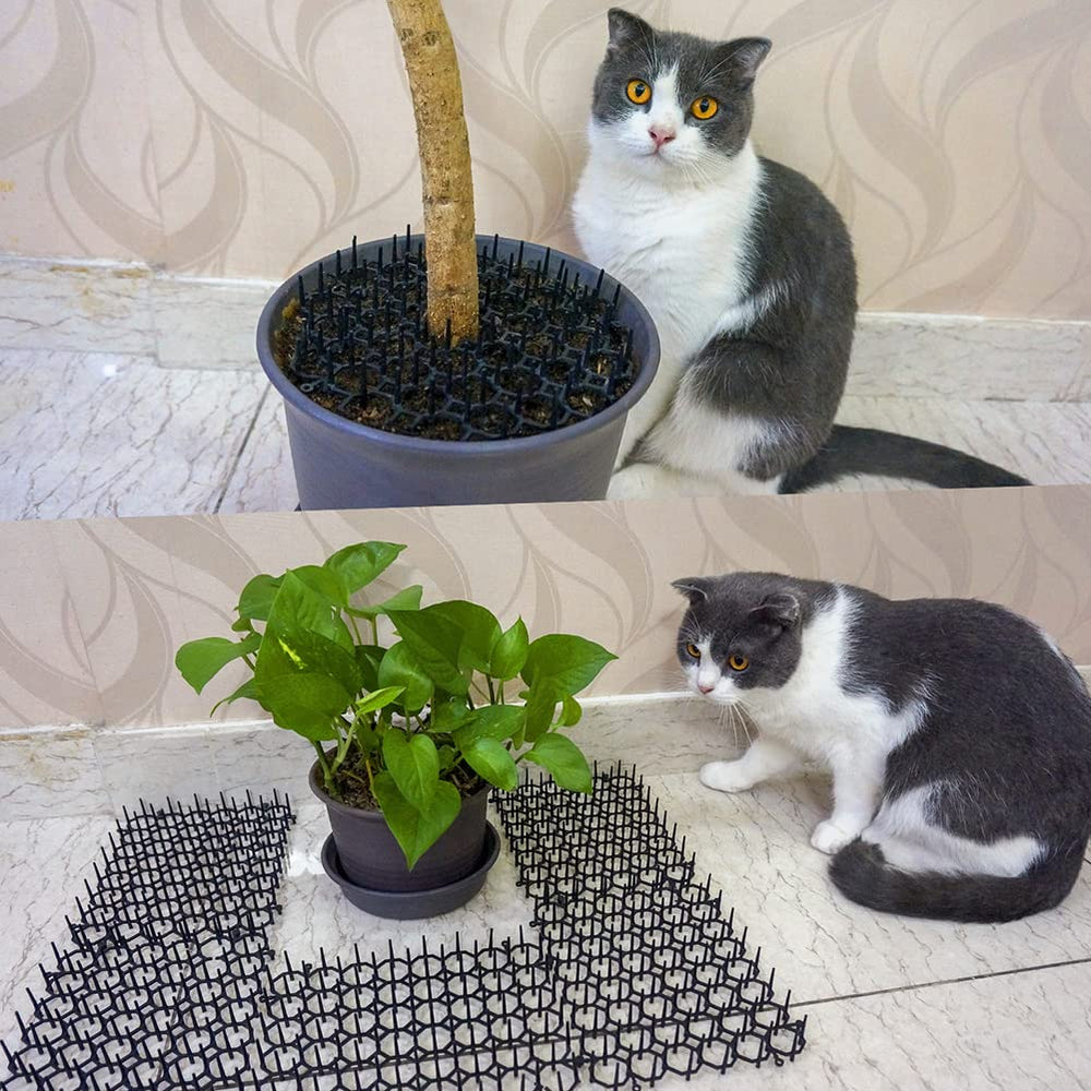 Ley's scat mat placed on a couch edge to deter cats from furniture.