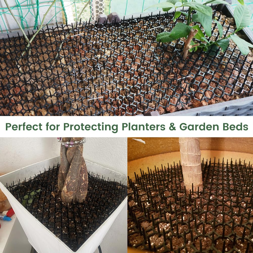 Ley's scat mat around garden plants for outdoor protection.