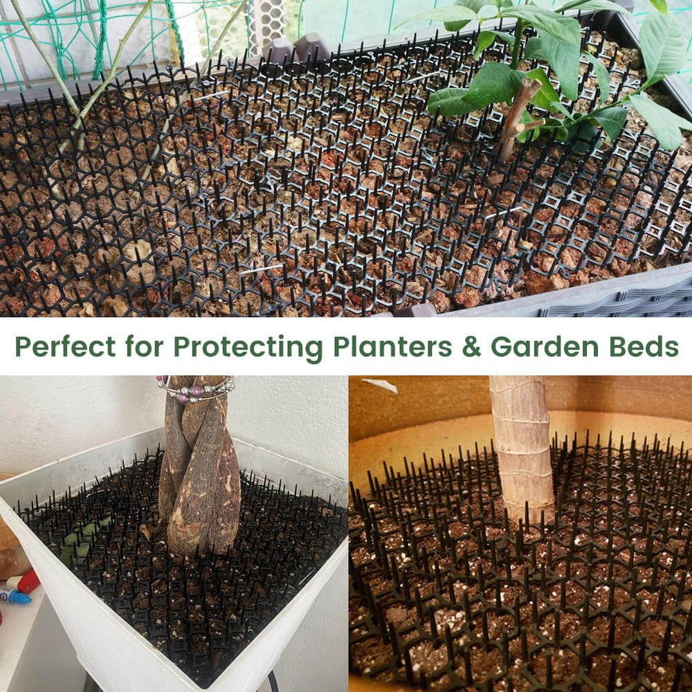 Ley's scat mat around garden plants for outdoor protection.