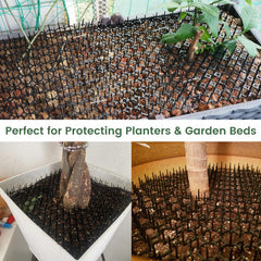 Ley's scat mat around garden plants for outdoor protection.